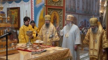 DSC07130.jpg